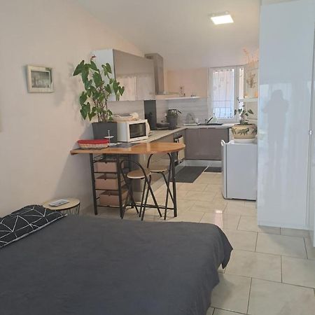 Chez Sabine Et Pascal Apartment Meyzieu ภายนอก รูปภาพ