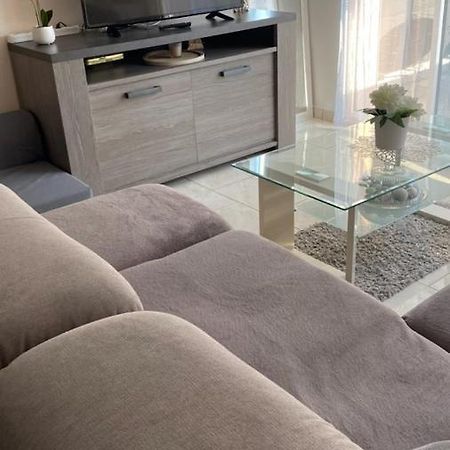 Chez Sabine Et Pascal Apartment Meyzieu ภายนอก รูปภาพ