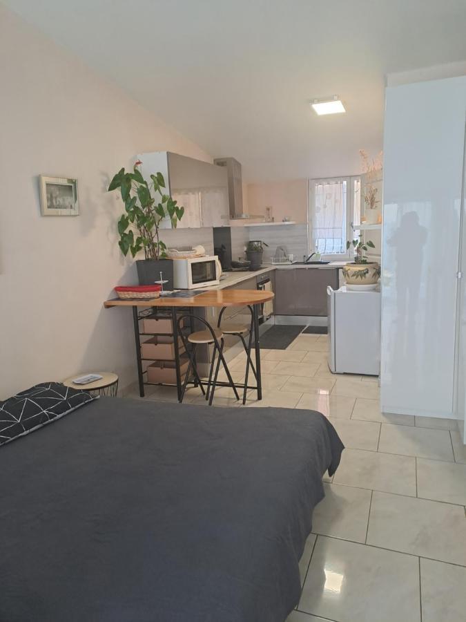 Chez Sabine Et Pascal Apartment Meyzieu ภายนอก รูปภาพ
