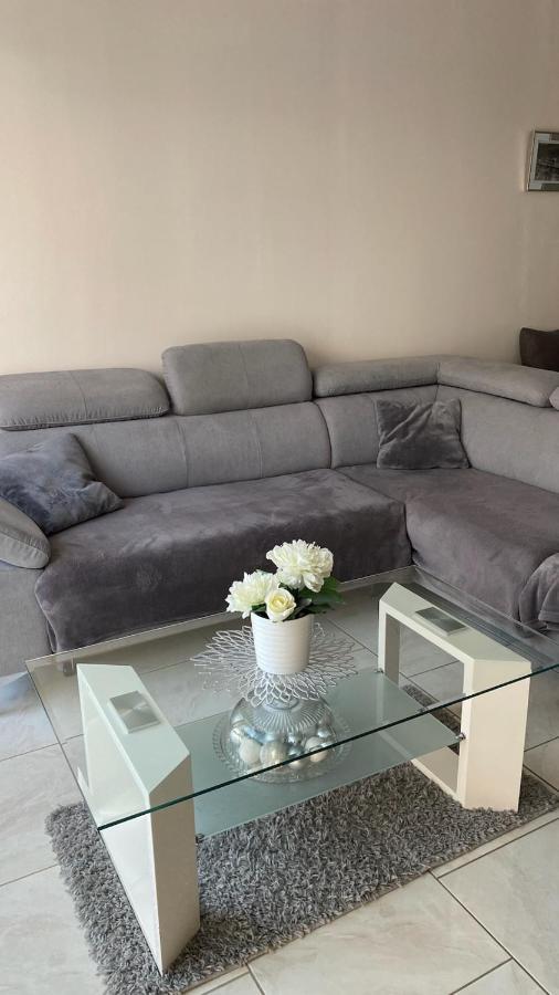 Chez Sabine Et Pascal Apartment Meyzieu ภายนอก รูปภาพ