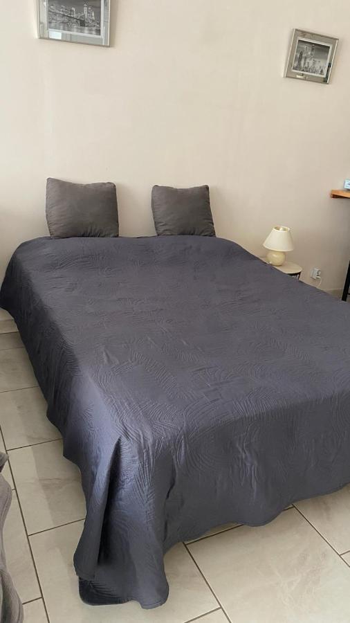 Chez Sabine Et Pascal Apartment Meyzieu ภายนอก รูปภาพ