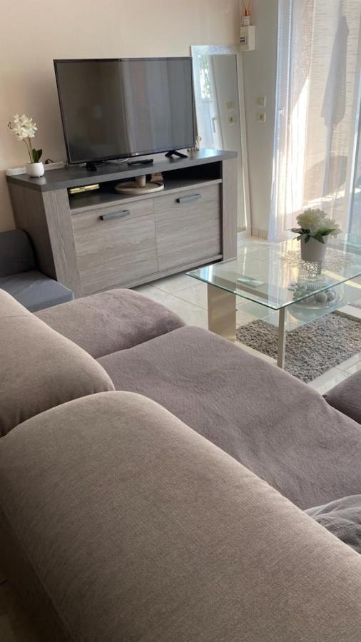 Chez Sabine Et Pascal Apartment Meyzieu ภายนอก รูปภาพ