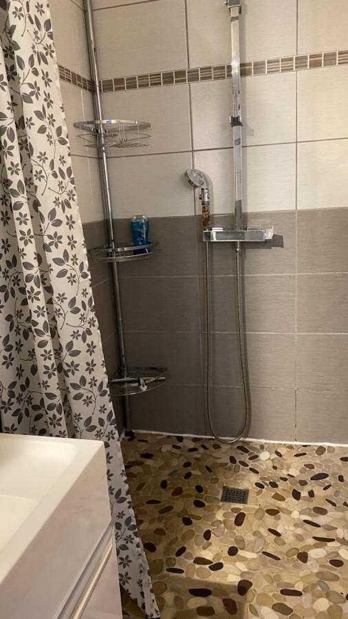 Chez Sabine Et Pascal Apartment Meyzieu ภายนอก รูปภาพ