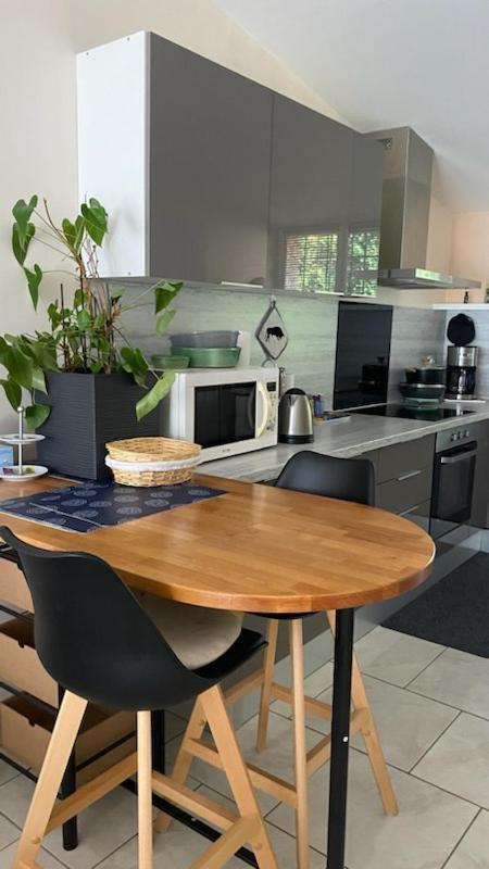 Chez Sabine Et Pascal Apartment Meyzieu ภายนอก รูปภาพ